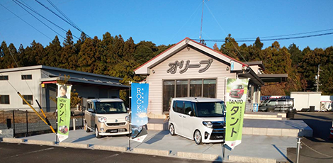 CAR PLAZA オリーブ（ナカムラ展示場）